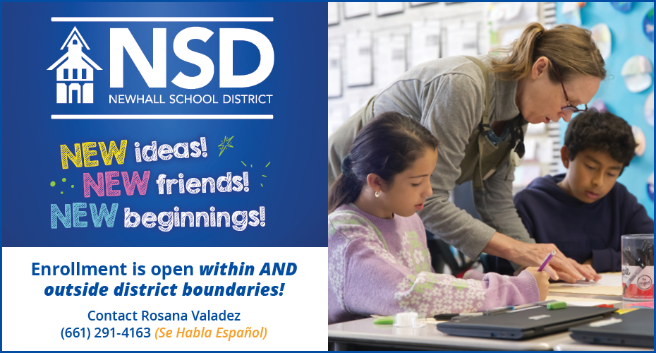 NSD Promotional Flyer 